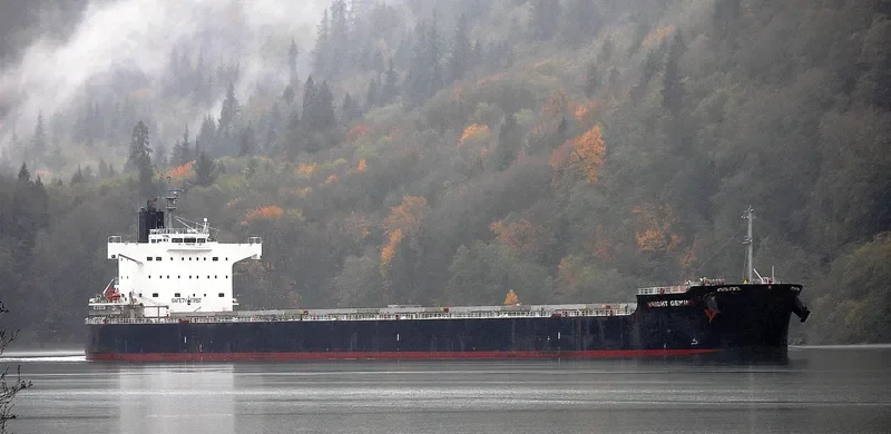 BRIGHT GEMINI Bulk Carrier IMO 9599092 photo 4