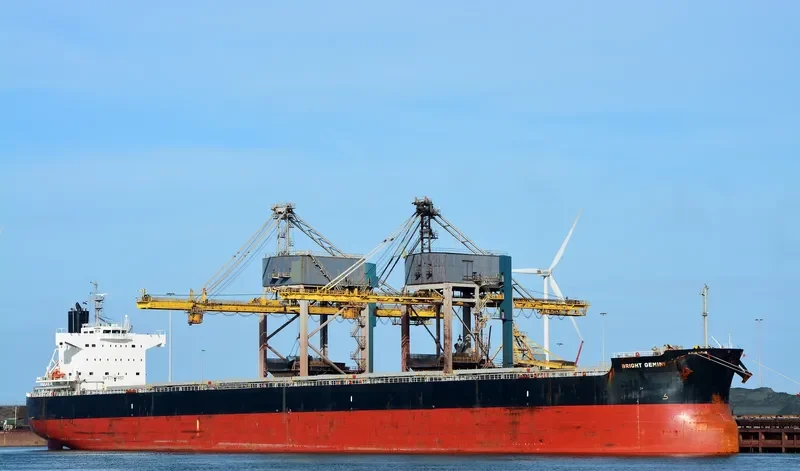 BRIGHT GEMINI Bulk Carrier IMO 9599092 photo 5
