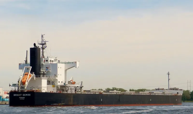 BRIGHT GEMINI Bulk Carrier IMO 9599092 photo 9
