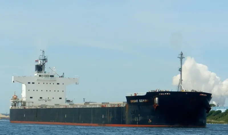 BRIGHT GEMINI Bulk Carrier IMO 9599092 photo 10