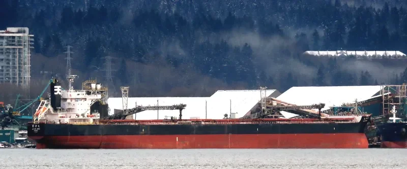JO JIN MARU Bulk Carrier IMO 9599133 photo 8