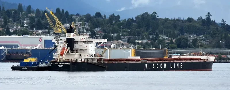 KATAGALAN WISDOM III Bulk Carrier IMO 9599145