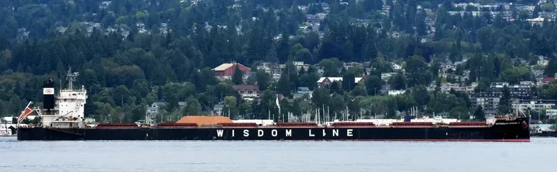 KATAGALAN WISDOM III Bulk Carrier IMO 9599145 photo 2