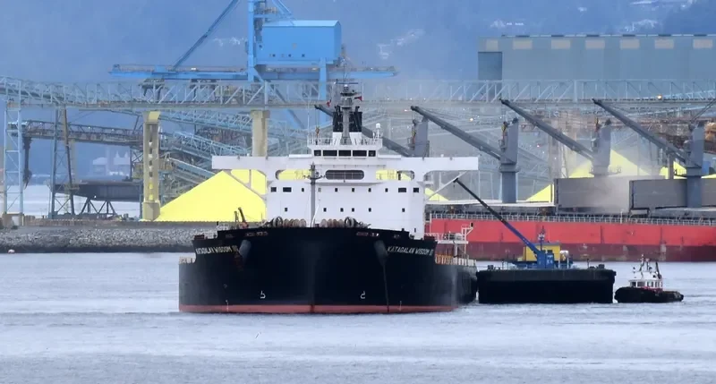 KATAGALAN WISDOM III Bulk Carrier IMO 9599145 photo 3