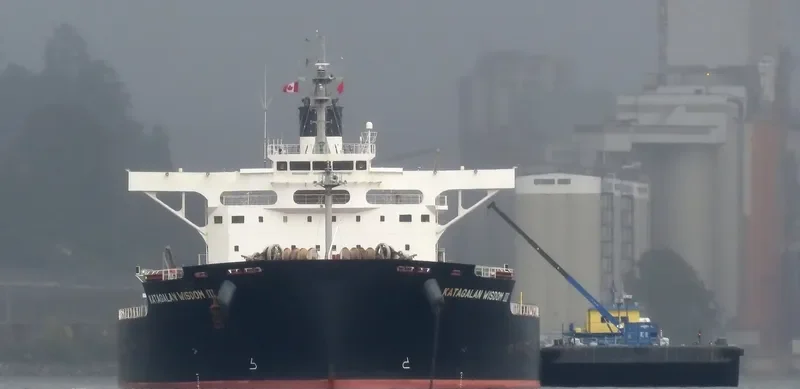 KATAGALAN WISDOM III Bulk Carrier IMO 9599145 photo 4