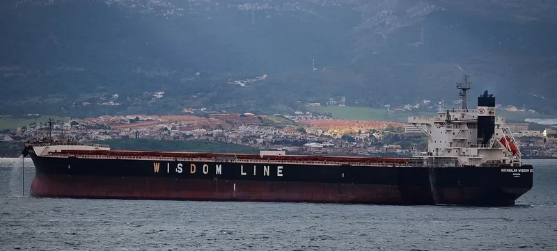 KATAGALAN WISDOM III Bulk Carrier IMO 9599145 photo 7