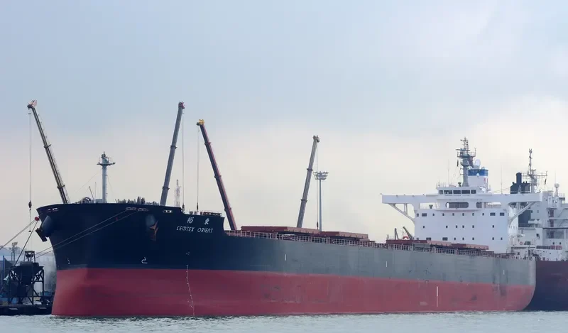 CEMTEX ORIENT Bulk Carrier IMO 9599169