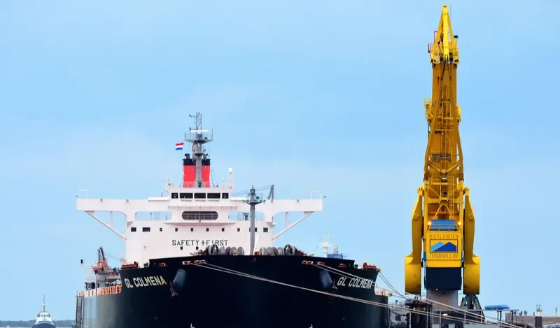 BUNJI Bulk Carrier IMO 9599171