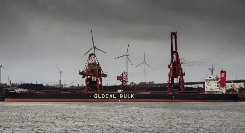BUNJI Bulk Carrier IMO 9599171 photo 4