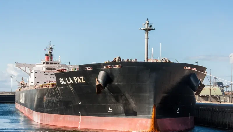 GL LA PAZ Bulk Carrier IMO 9599183 photo 4