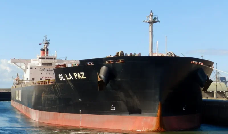 GL LA PAZ Bulk Carrier IMO 9599183 photo 10