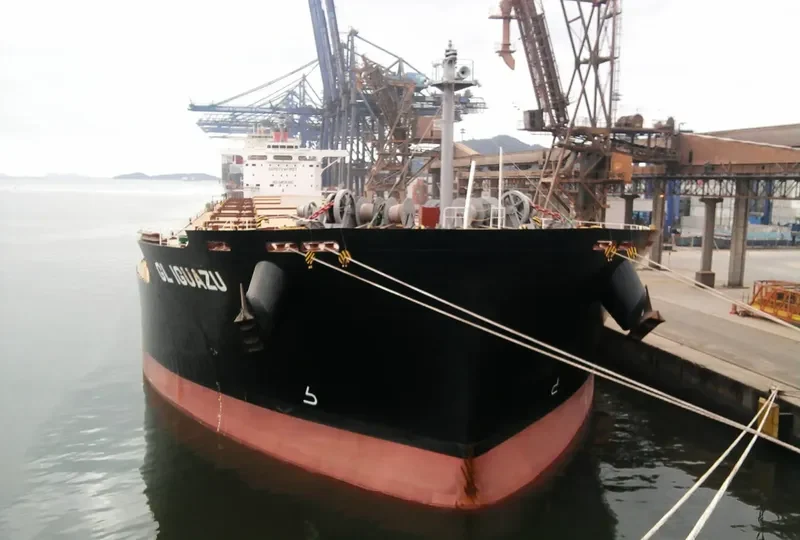 GL IGUAZU Bulk Carrier IMO 9599200 photo 6