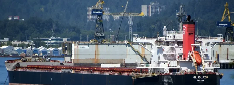 GL IGUAZU Bulk Carrier IMO 9599200 photo 9