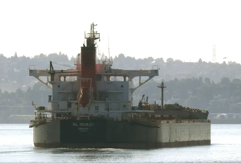 GL IGUAZU Bulk Carrier IMO 9599200 photo 10