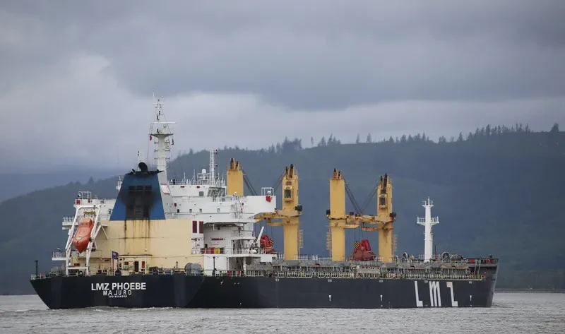 LMZ PHOEBE Bulk Carrier IMO 9599389 photo 3