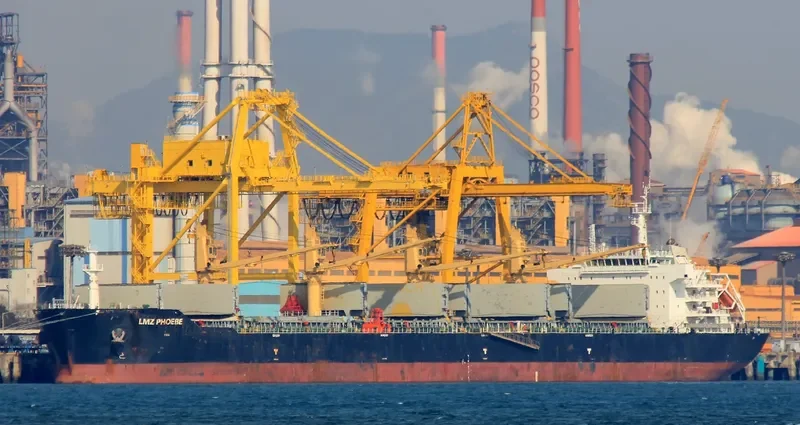 LMZ PHOEBE Bulk Carrier IMO 9599389 photo 8