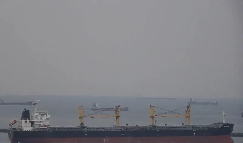 ZORINA Bulk Carrier IMO 9599391