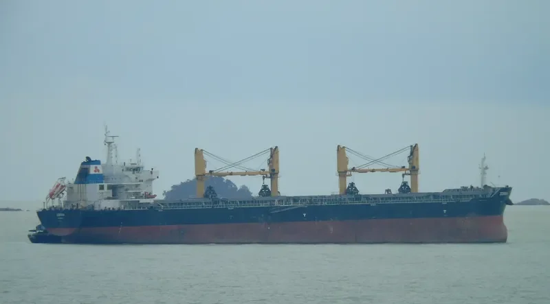 ZORINA Bulk Carrier IMO 9599391 photo 2