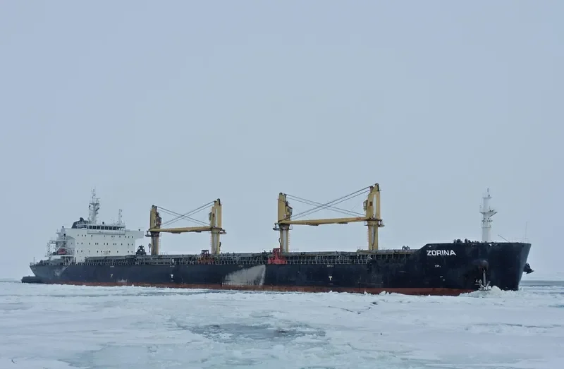 ZORINA Bulk Carrier IMO 9599391 photo 6