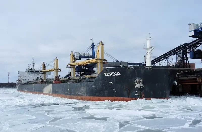 ZORINA Bulk Carrier IMO 9599391 photo 7