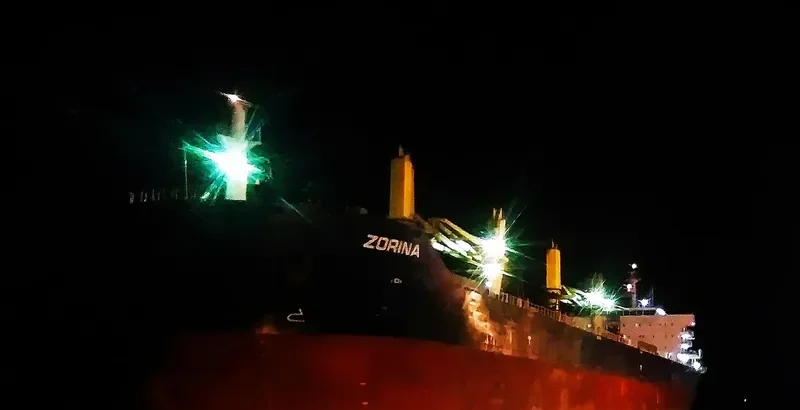 ZORINA Bulk Carrier IMO 9599391 photo 8