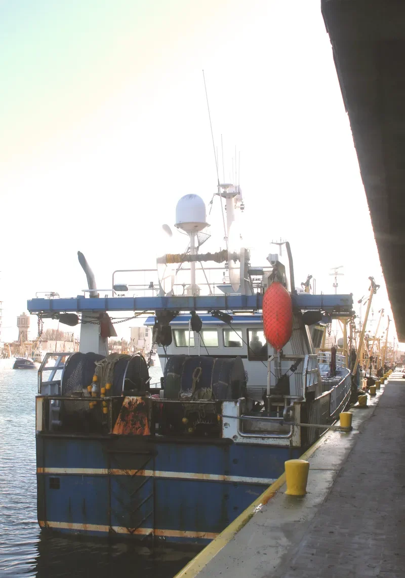 Z300 SOLA GRATIA General Cargo IMO 9599509 photo 8