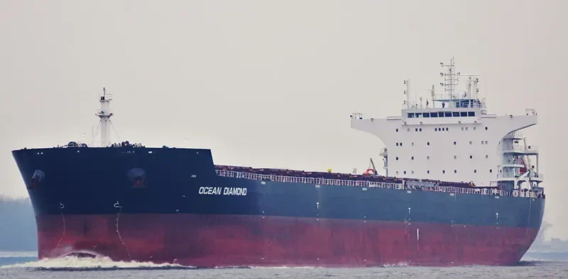OCEAN DIAMOND Bulk Carrier IMO 9599573 photo 4