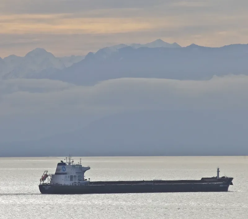 OCEAN DIAMOND Bulk Carrier IMO 9599573 photo 6