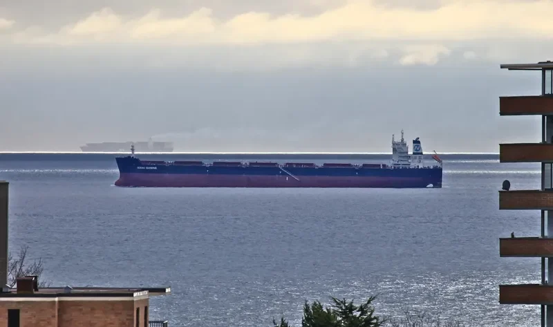 OCEAN DIAMOND Bulk Carrier IMO 9599573 photo 8