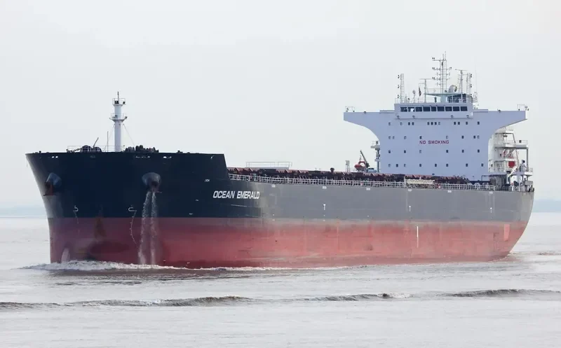 OCEAN EMERALD Bulk Carrier IMO 9599602 photo 8