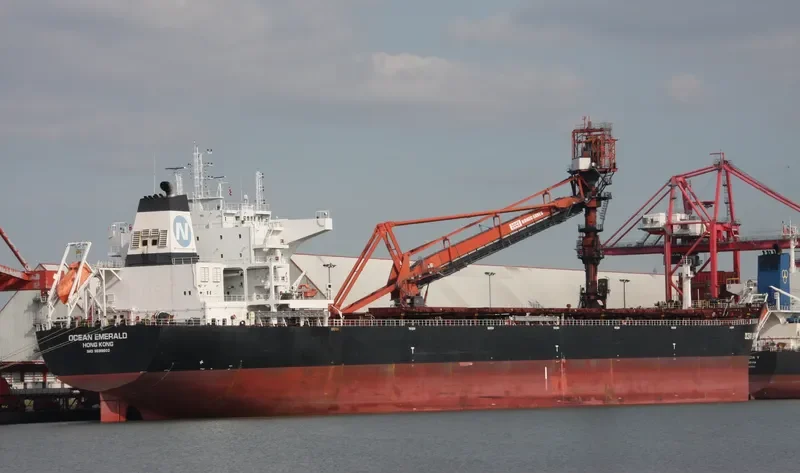 OCEAN EMERALD Bulk Carrier IMO 9599602 photo 10