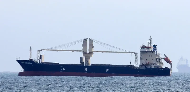 AMP PRINCESS General Cargo IMO 9599626 photo 8