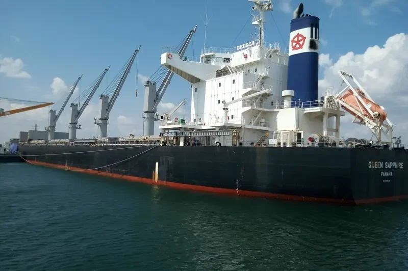 QUEEN SAPPHIRE Bulk Carrier IMO 9599755 photo 3