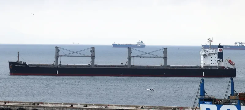 QUEEN SAPPHIRE Bulk Carrier IMO 9599755 photo 5