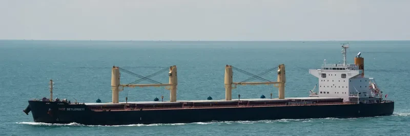 INCE BEYLERBEYI Bulk Carrier IMO 9599767 photo 2