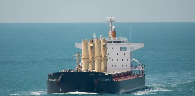 INCE BEYLERBEYI Bulk Carrier IMO 9599767 photo 3