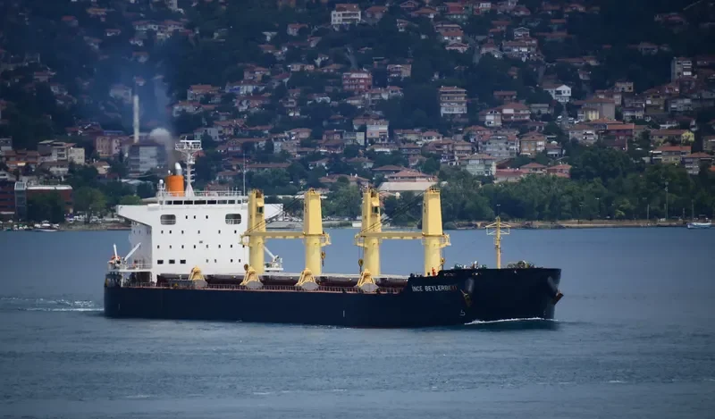 INCE BEYLERBEYI Bulk Carrier IMO 9599767 photo 4