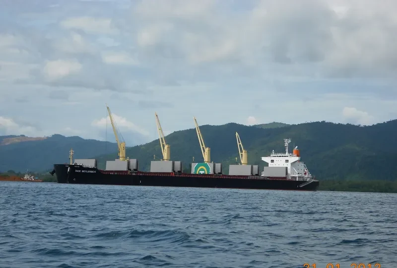 INCE BEYLERBEYI Bulk Carrier IMO 9599767 photo 6