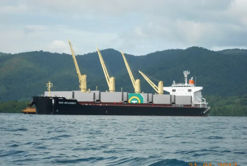 INCE BEYLERBEYI Bulk Carrier IMO 9599767 photo 7