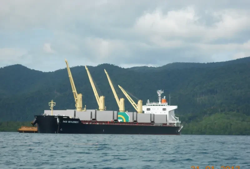 INCE BEYLERBEYI Bulk Carrier IMO 9599767 photo 8