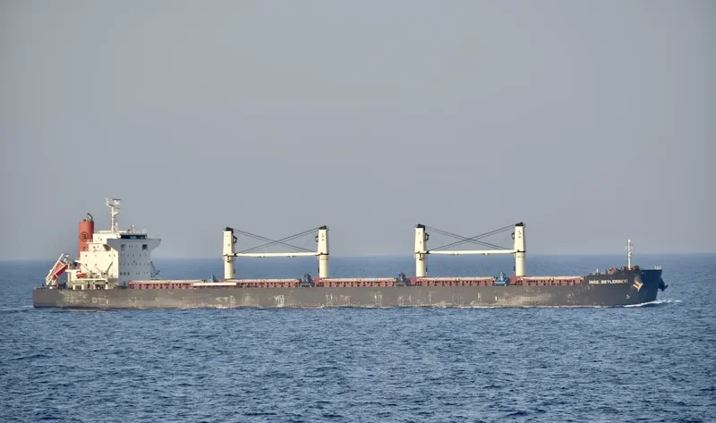 INCE BEYLERBEYI Bulk Carrier IMO 9599767 photo 10