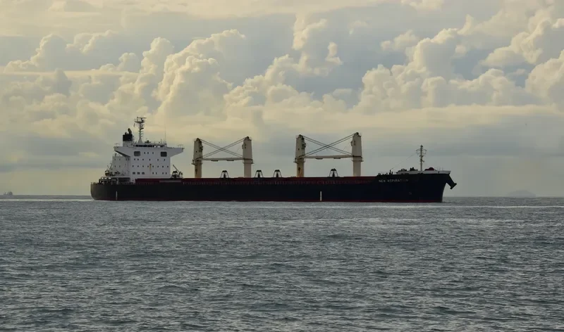 NEW ASPIRATION Bulk Carrier IMO 9599781