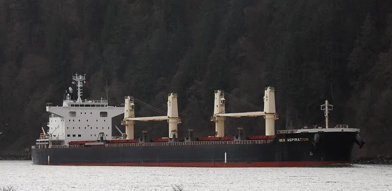 NEW ASPIRATION Bulk Carrier IMO 9599781 photo 4