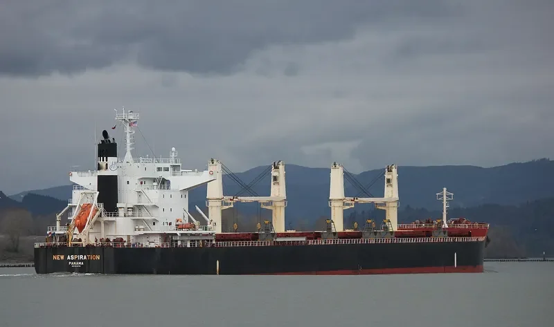 NEW ASPIRATION Bulk Carrier IMO 9599781 photo 5