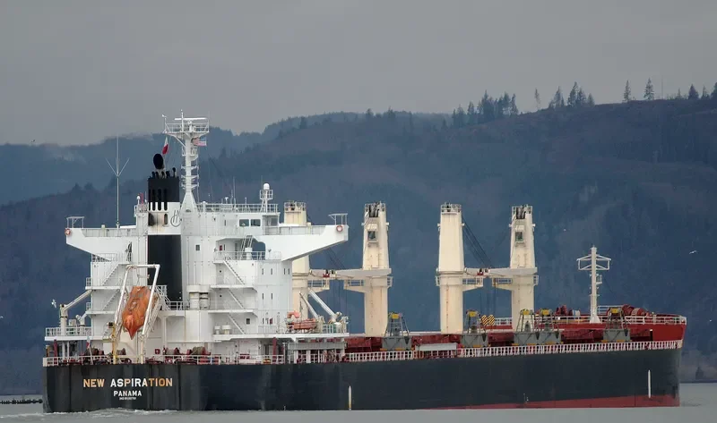 NEW ASPIRATION Bulk Carrier IMO 9599781 photo 6