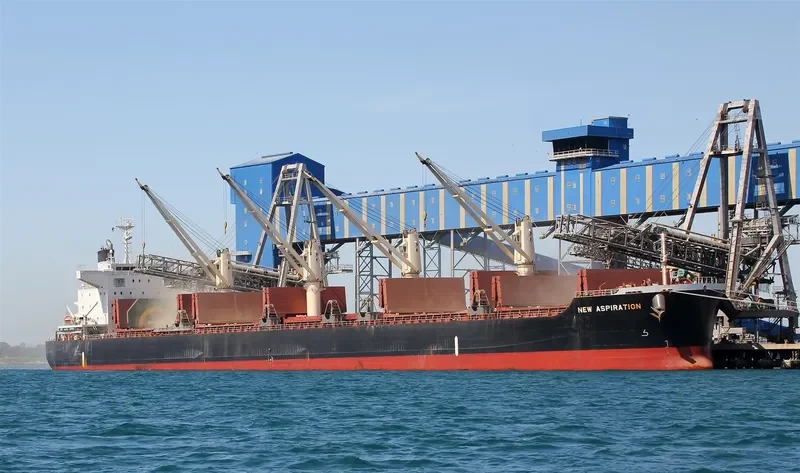 NEW ASPIRATION Bulk Carrier IMO 9599781 photo 10