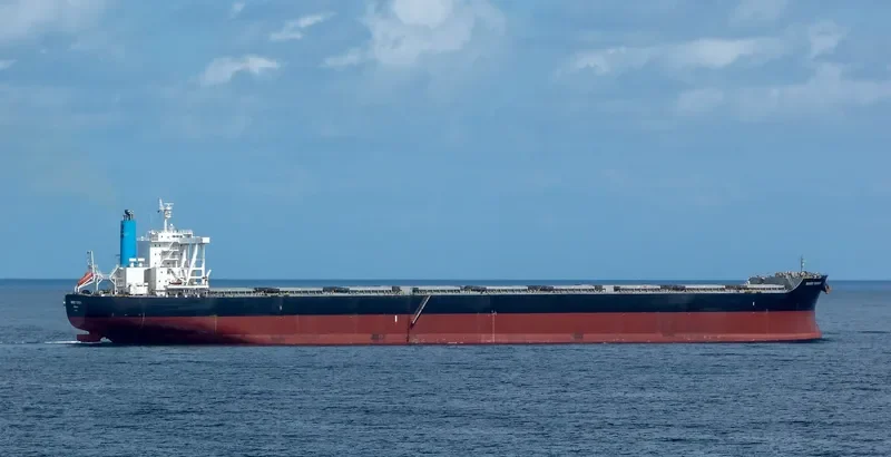 BERGE TSURUGI Bulk Carrier IMO 9599810 photo 2