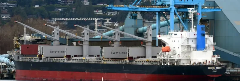 TRUE MARINER Bulk Carrier IMO 9599822