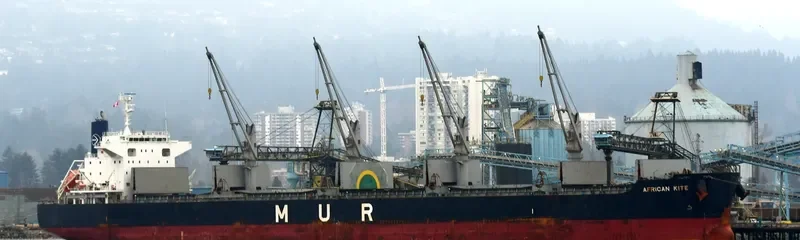 TRUE MARINER Bulk Carrier IMO 9599822 photo 3