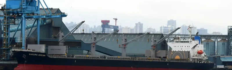 TRUE MARINER Bulk Carrier IMO 9599822 photo 4